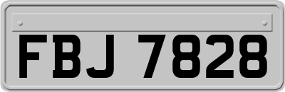 FBJ7828