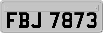 FBJ7873