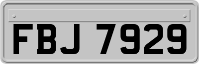 FBJ7929