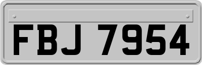 FBJ7954