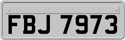 FBJ7973