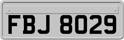 FBJ8029