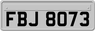 FBJ8073