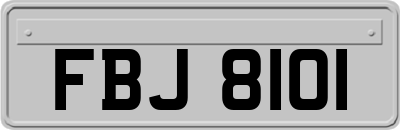 FBJ8101
