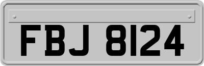 FBJ8124