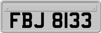 FBJ8133