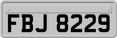 FBJ8229
