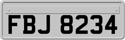 FBJ8234
