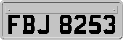 FBJ8253