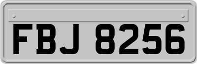 FBJ8256