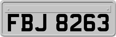 FBJ8263