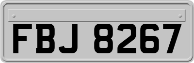 FBJ8267