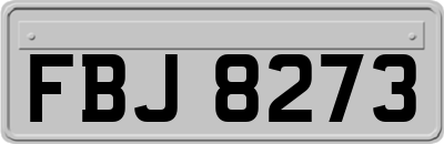 FBJ8273