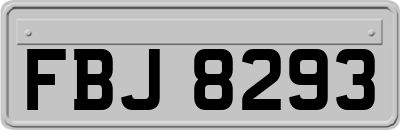 FBJ8293