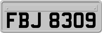 FBJ8309