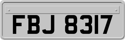 FBJ8317