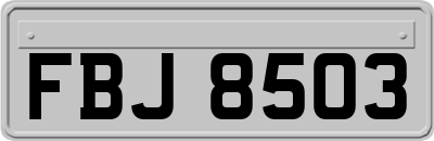 FBJ8503