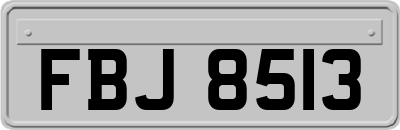 FBJ8513