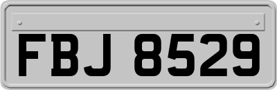 FBJ8529