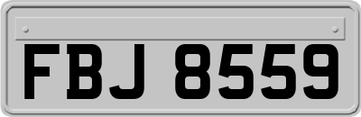 FBJ8559