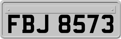 FBJ8573