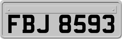 FBJ8593