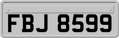 FBJ8599