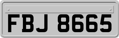 FBJ8665