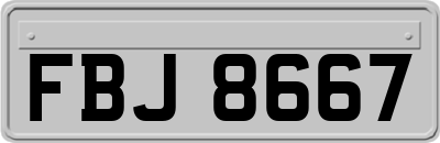 FBJ8667