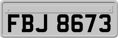 FBJ8673