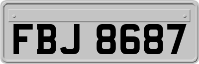 FBJ8687
