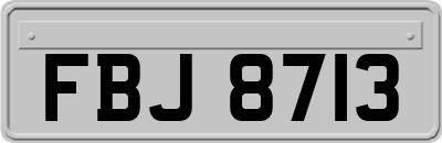 FBJ8713