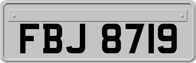 FBJ8719