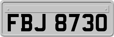 FBJ8730