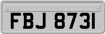 FBJ8731
