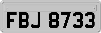 FBJ8733
