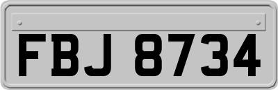 FBJ8734