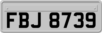 FBJ8739