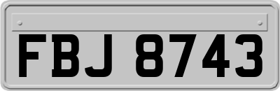 FBJ8743