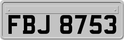 FBJ8753