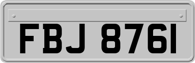 FBJ8761