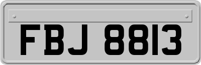 FBJ8813