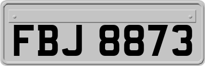 FBJ8873