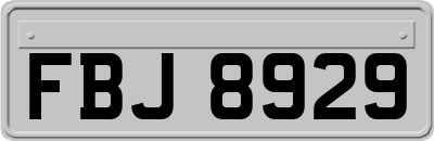 FBJ8929