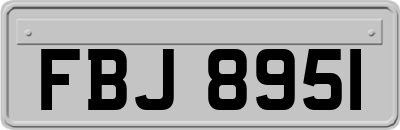 FBJ8951