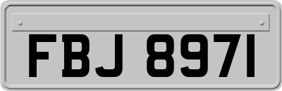 FBJ8971