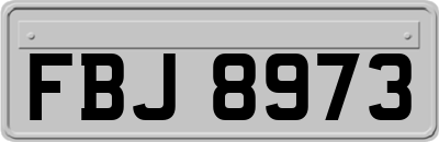FBJ8973