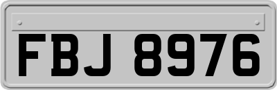 FBJ8976