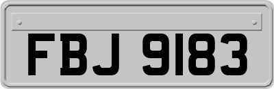 FBJ9183