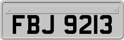 FBJ9213